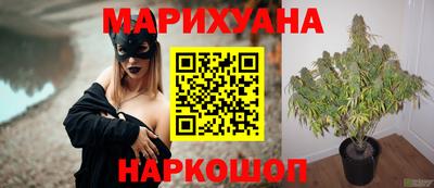 индика Коммунар