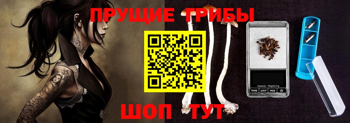 Галлюциногенные грибы Psilocybine cubensis  Вход с VPN  Ярцево 
