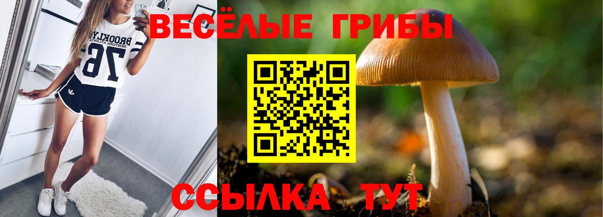 Галлюциногенные грибы Psilocybe Ярцево